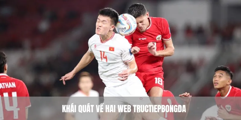 Khái quát về hai web tructiepbongda