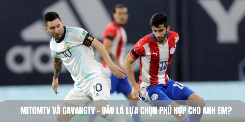 so sánh mitomtv vs gavangtv