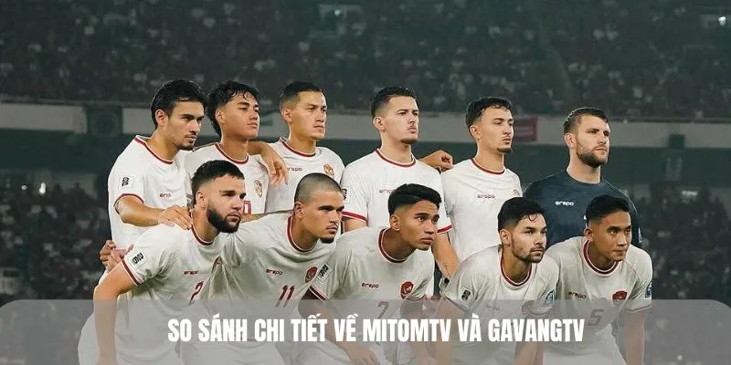 So sánh chi tiết về Mitomtv và Gavangtv